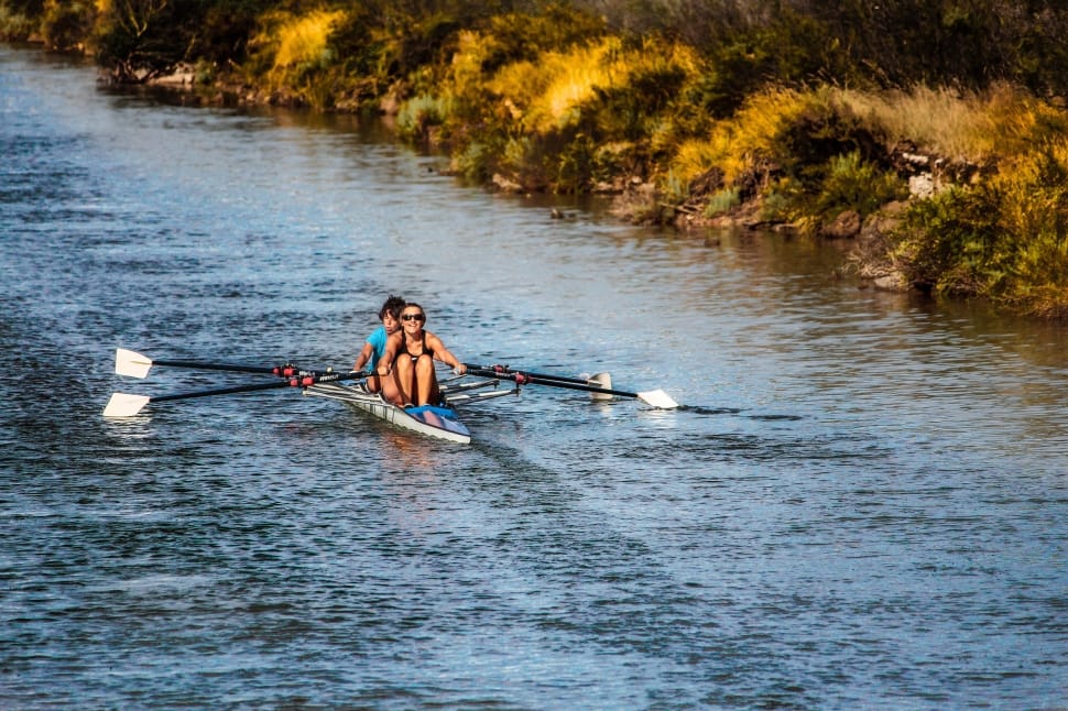 Two rowers in a double sculling boat on a river lined with golden vegetation